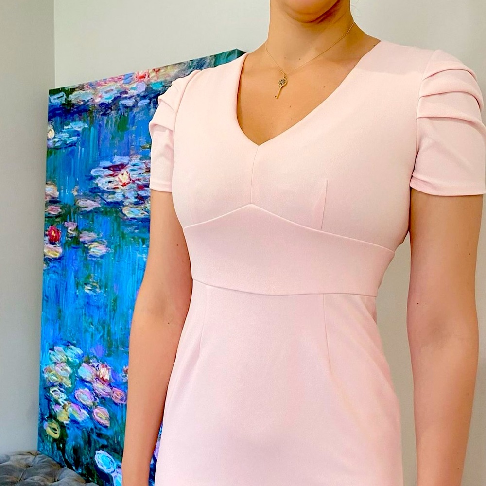 DKNY light pink pencil dress